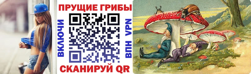 Псилоцибиновые грибы GOLDEN TEACHER  Чишмы 